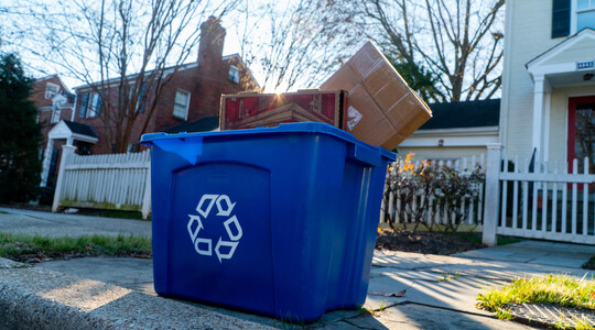 Circular Economy
