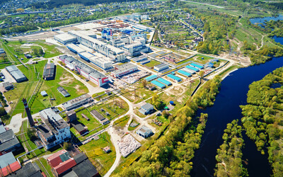 What is the Environmental Impact of the Paper Industry?